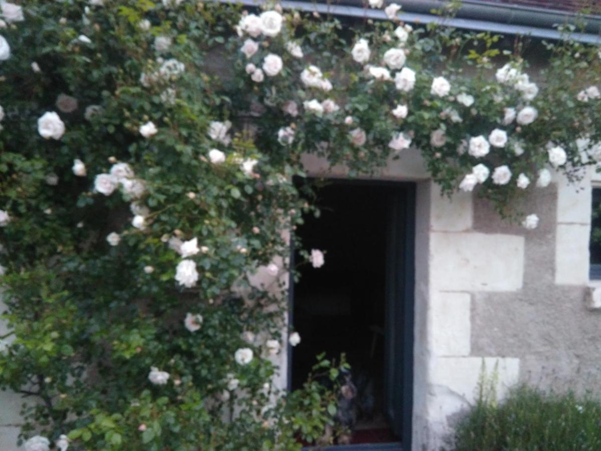 Au Jardin De La Marquetterie Villa Cigogne Dış mekan fotoğraf